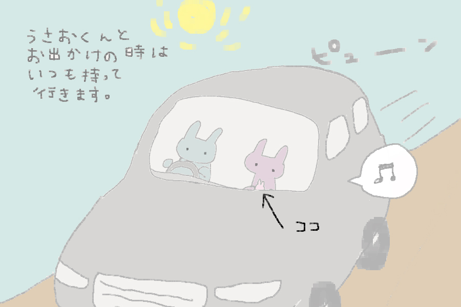 うさおくんとお出かけのときはいつも持って行きます。