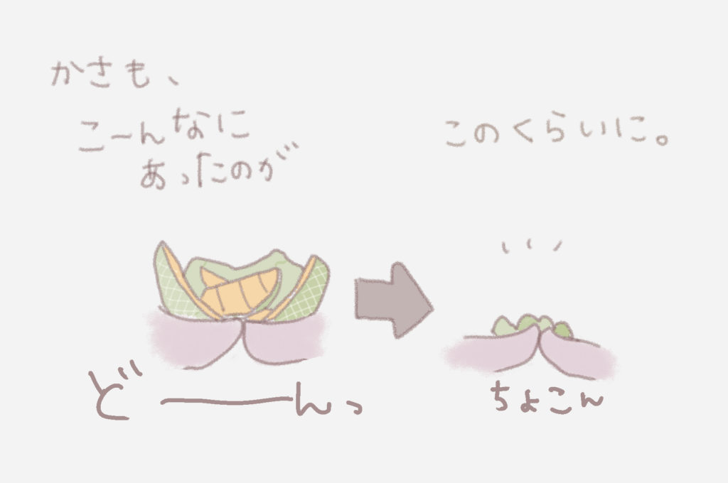 かさも、こーんなにあったのが、このくらいに。