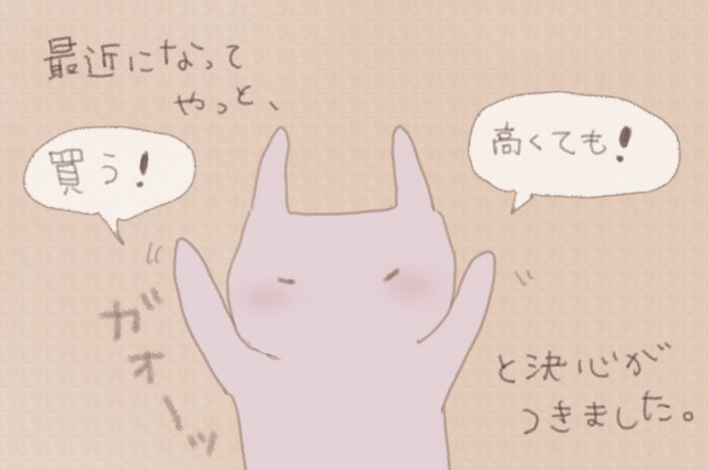 最近になってやっと、「買う！高くても！」と決心がつきました。