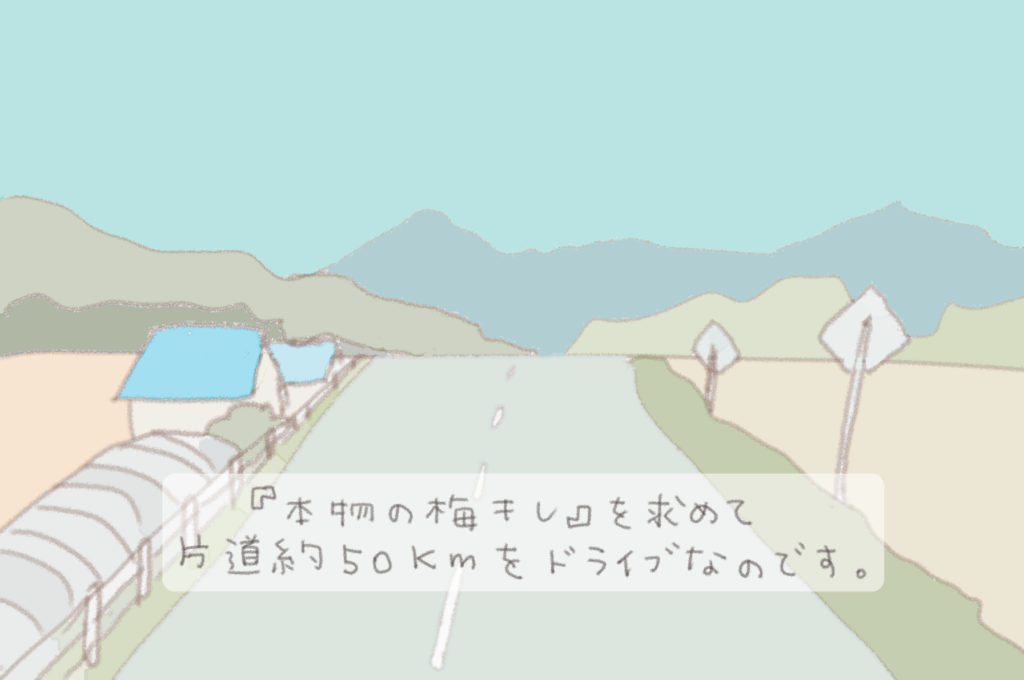 『本物の梅干し』を求めて片道約５０Kmをドライブなのです。