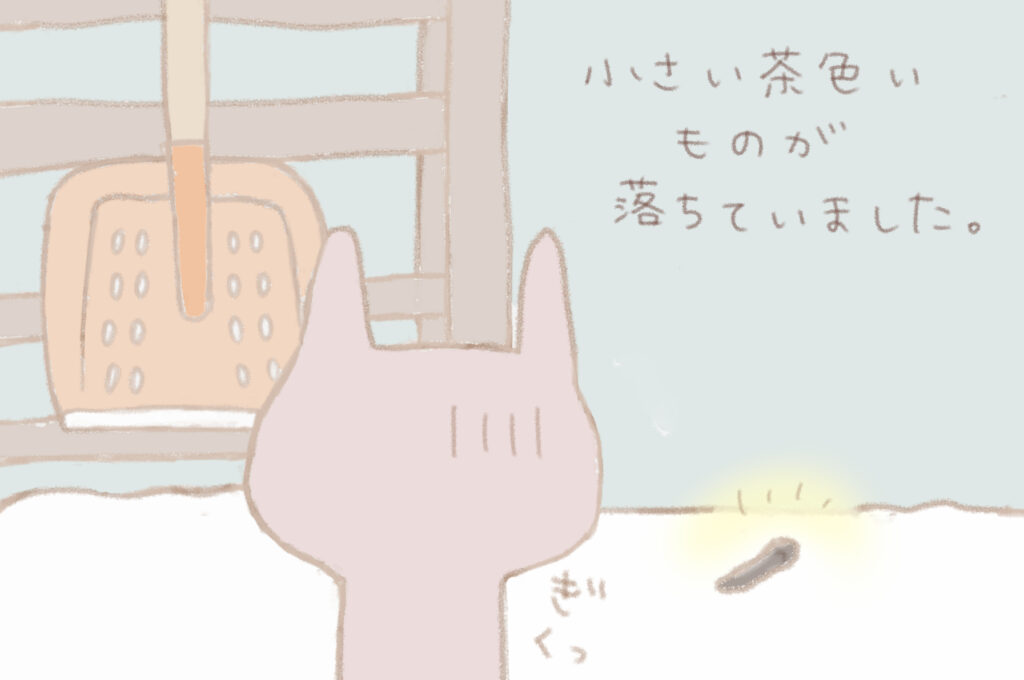 小さい茶色いものが落ちていました。